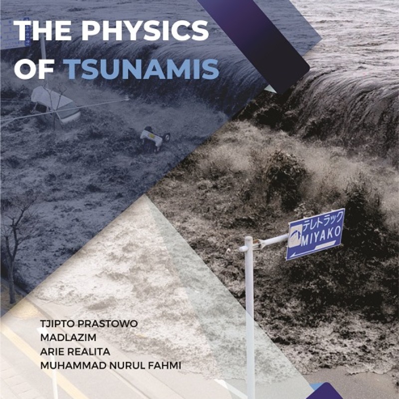 THE PHYSICS OF TSUNAMIS